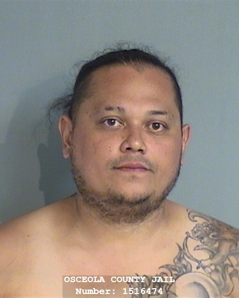 Booking photo - BUCKI CANALES - Osceola, Florida