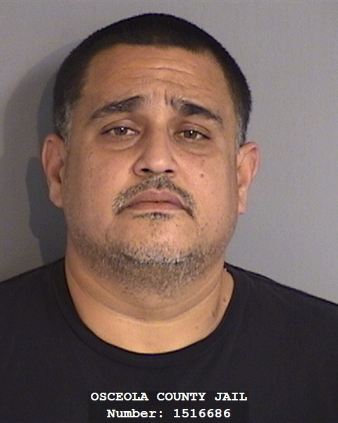 Booking photo - WILLIAM ALBERTO HERNANDEZ-FERRER - Osceola, Florida