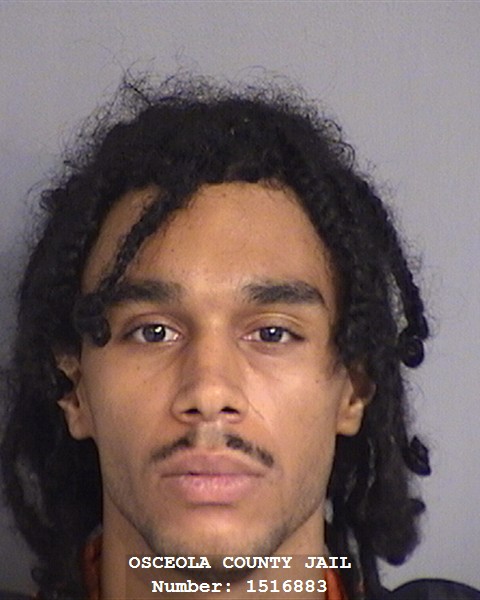 Booking photo - TYLOR DEVEAU - Osceola, Florida
