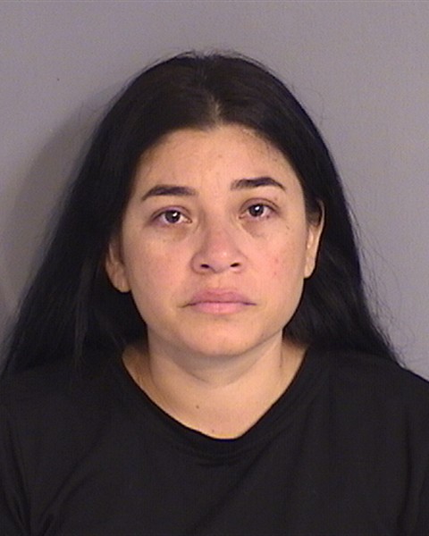 Booking photo of ANDREINA VALLE-RAMIREZ