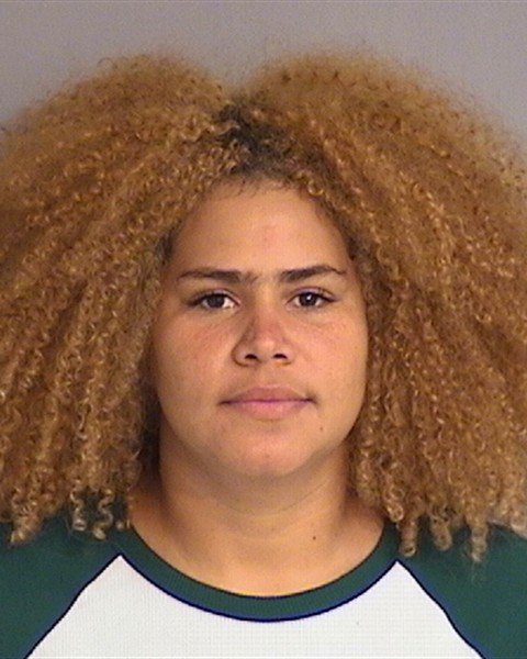 Booking photo of YASMIL ANDUEZA-NIEVES