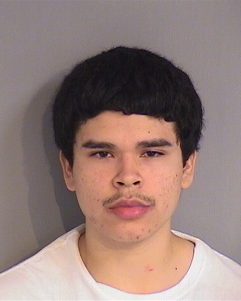 Booking photo - EDUARDO VIZCAINO - Osceola, Florida
