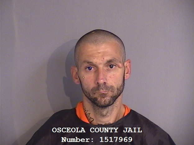 Booking photo - LEON DEAN - Osceola, Florida