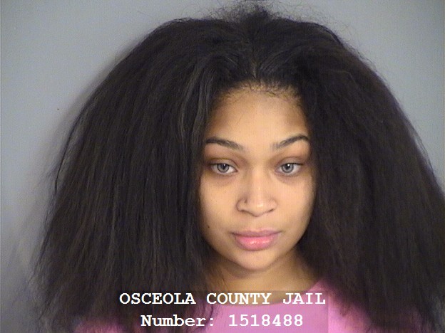 Booking photo - TORRY WILBORN - Osceola, Florida