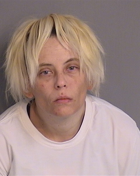 Booking photo - KAYLA FELTS - Osceola, Florida