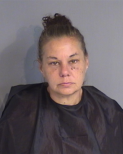 Booking photo - CONNIE ALVAREZ - Osceola, Florida