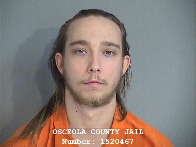 Booking photo - LOGAN TIBBETTS - Osceola, Florida