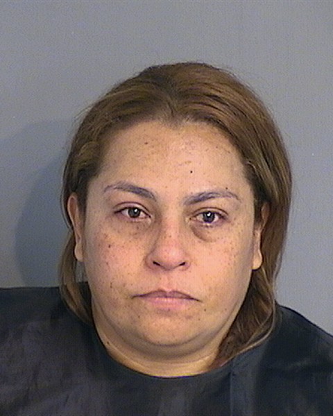 Booking photo - MAGALY ARTAVIA-ARAYA - Osceola, Florida