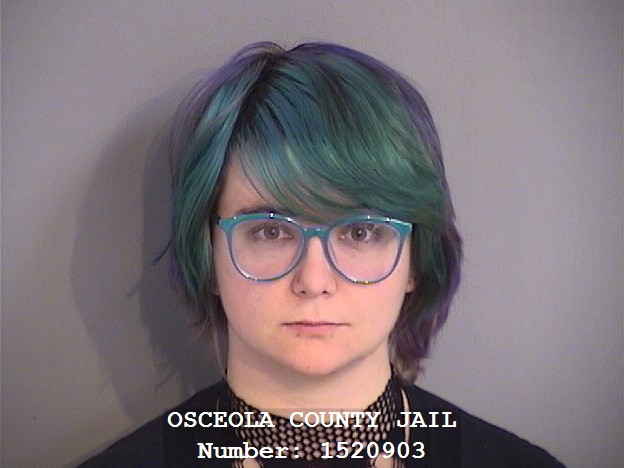 Booking photo - MICHELLE BEASLEY-KOLESSAR - Osceola, Florida