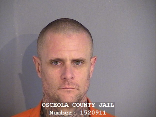 Booking photo - CHALON LITTLE - Osceola, Florida