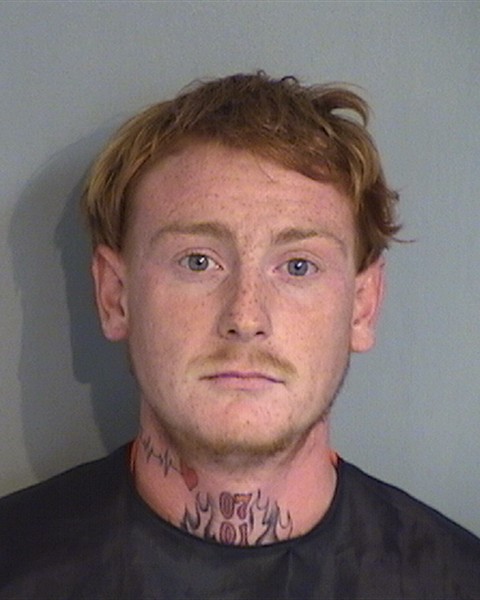 Booking photo - JAYDON KING - Osceola, Florida