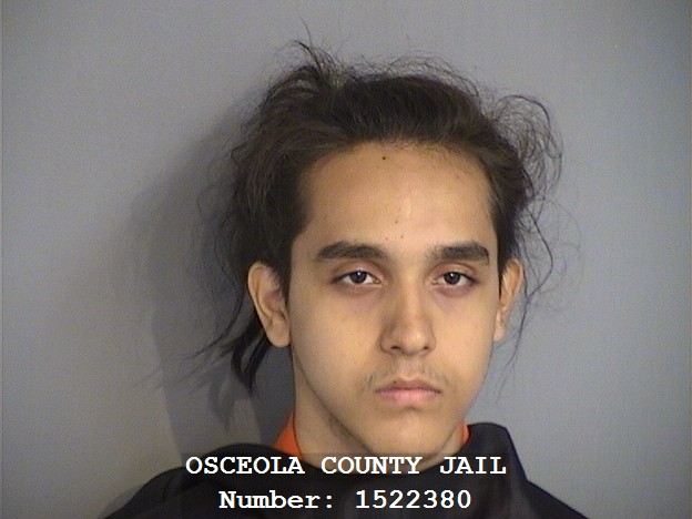 Booking photo - ELIAS HASHIMI - Osceola, Florida