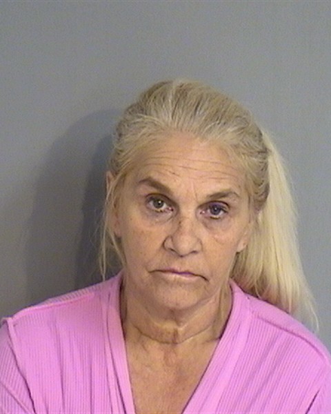 Booking photo - SUZANNE ROBLES - Osceola, Florida