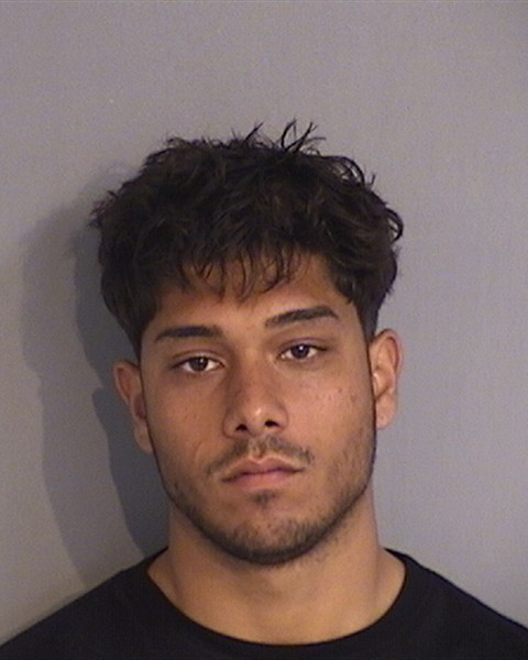 Booking photo - DANIEL DEMELO - Osceola, Florida