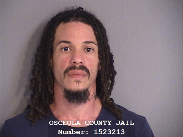 Booking photo - EDWIN SANTOS - Osceola, Florida