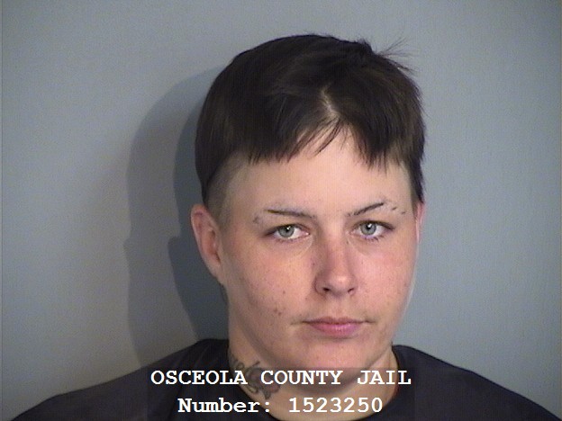 Booking photo - JENNIFER LAWSON - Osceola, Florida