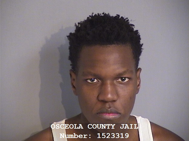 Booking photo - TOMMY LOUIS - Osceola, Florida