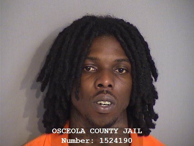 Booking photo - HARRY MCPHEE - Osceola, Florida