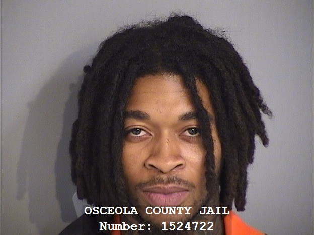 Booking photo - WILTON WILLIAMS - Osceola, Florida