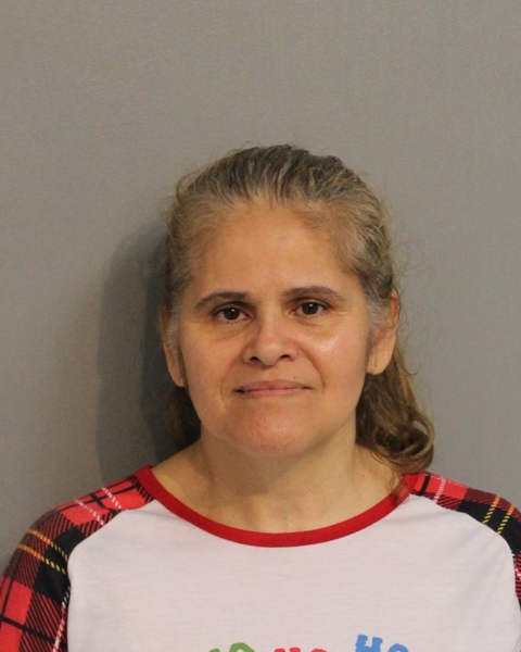 Booking photo of ROSA RIVERA-ROSADO