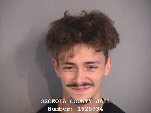 Booking photo - JOHN BOYETTE - Osceola, Florida