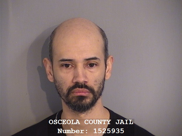 Booking photo - WALTER VILLEDA - Osceola, Florida