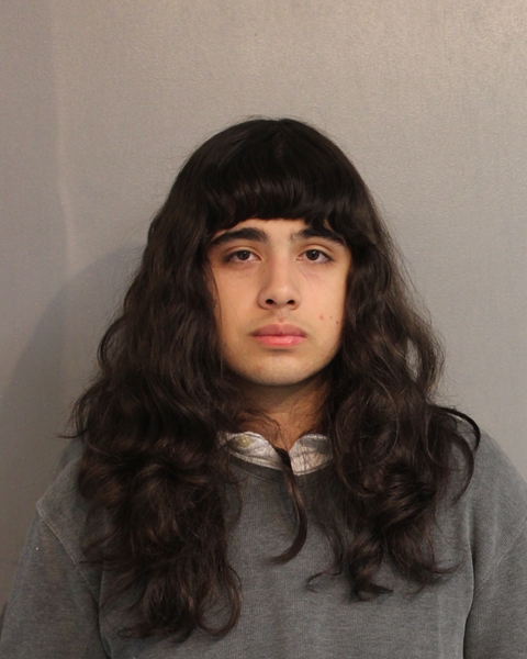 Booking photo - MAXIMO MARTINEZ-TORO - Osceola, Florida