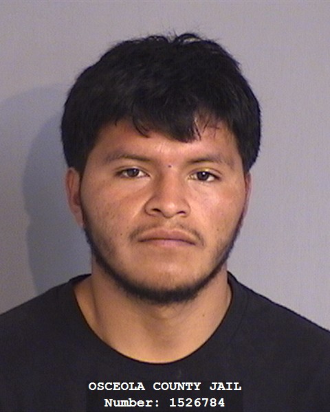 Booking photo - NOE ARREAGA-DIAZ - Osceola, Florida