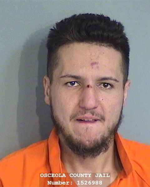Booking photo - HAMZA BALGHIT - Osceola, Florida