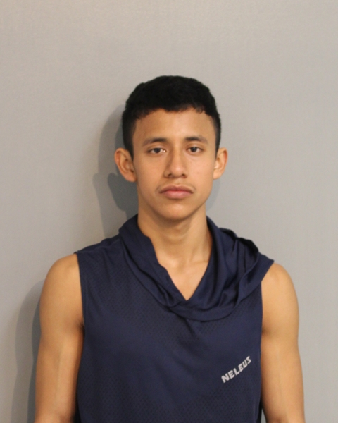 Booking photo - MAURICIO MILIAN-GARCIA - Osceola, Florida