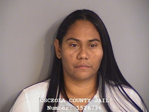 Booking photo of SINDY RAMIREZ-FLEREZ