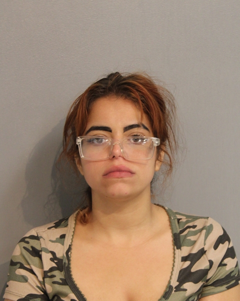 Booking photo of YAMMARIES JANITA RENTA