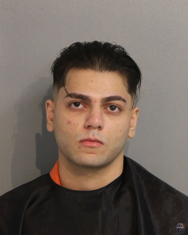 Booking photo of JOSHUA DEMETRO