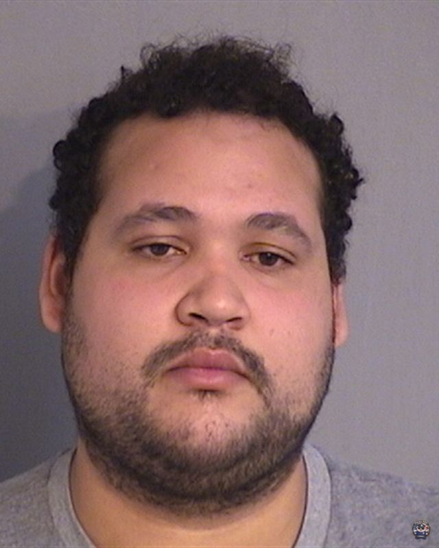 Booking photo of JOAO DESOUZA-MARTINS