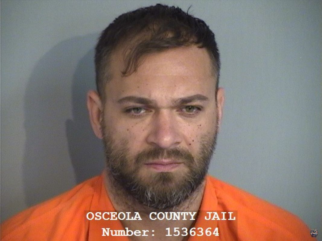 Booking photo of TODUREL CALIN