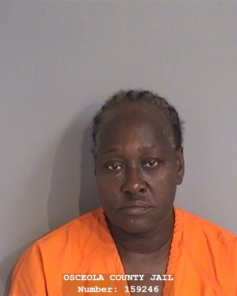 Booking photo - DONNA SEALY - Osceola, Florida
