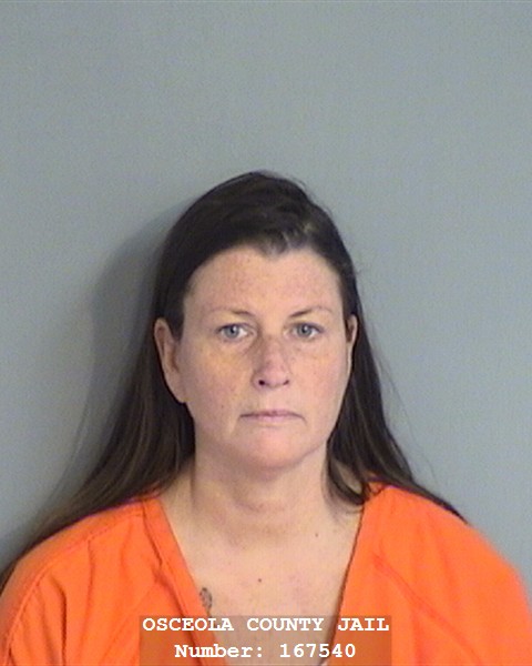 Booking photo of DEBBIE A STRICKER