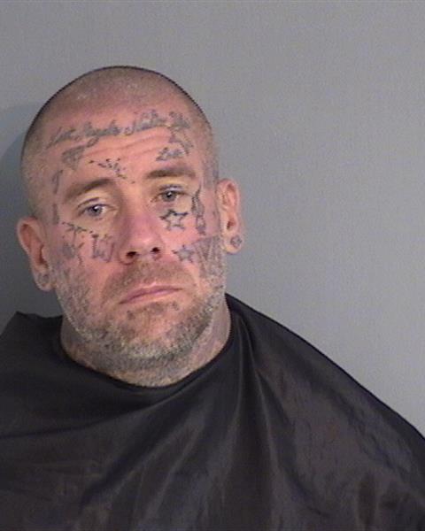 Booking photo - RAYMOND WILLIAM-SPITZ HAWKINS - Osceola, Florida