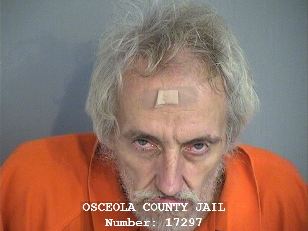 Booking photo - JACKIE SLATEN - Osceola, Florida