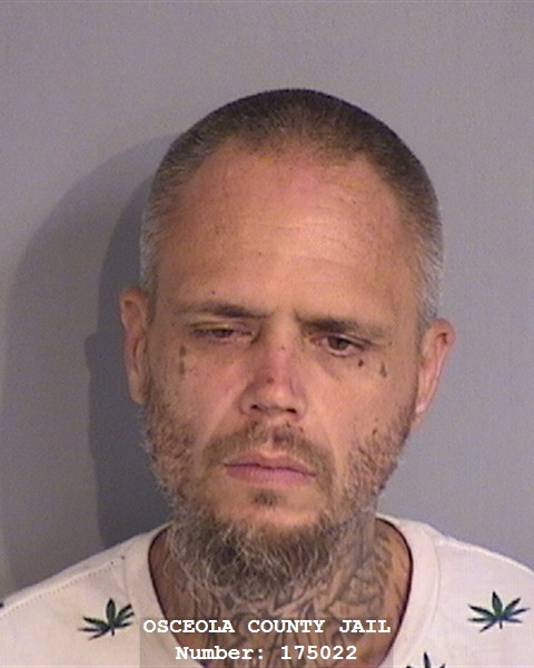 Booking photo - LAWRENCE BOKER - Osceola, Florida