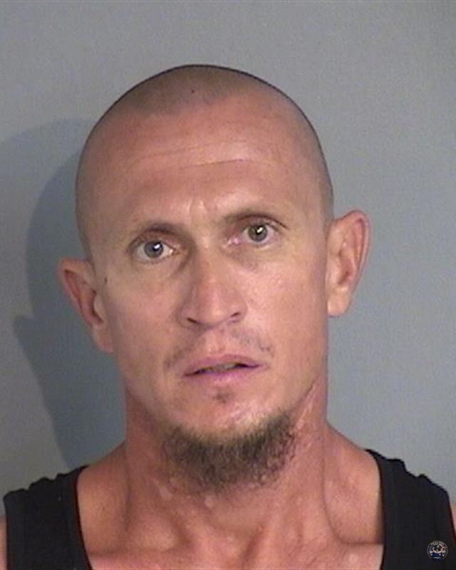 Booking photo - RONALD NORMAND LAPOINTE - Osceola, Florida