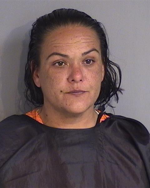 Booking photo - ANGELA MARIE HEFNER - Osceola, Florida