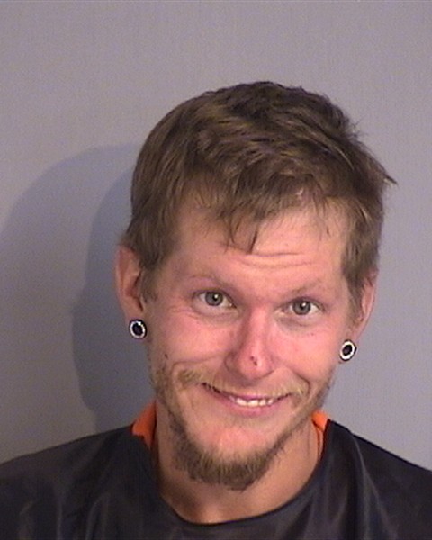 Booking photo - ALEX CHISM - Osceola, Florida