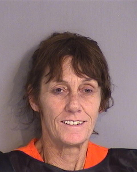 Booking photo - TAMMY LEE RINKLE - Osceola, Florida