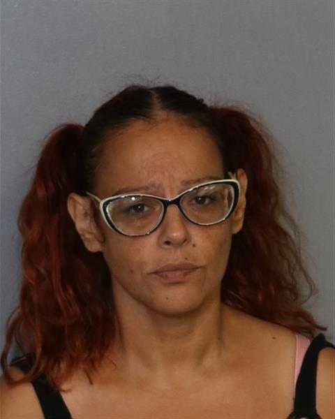 Booking photo - MICHELLE SANTIAGO-HASKINS - Osceola, Florida