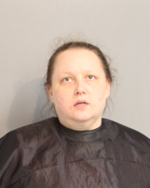 Booking photo - CHRISTINA DUNHAM - Osceola, Florida