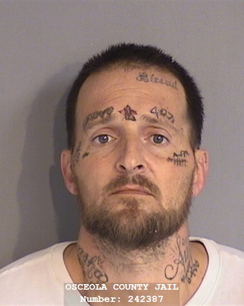 Booking photo - RONALD BEGLEY - Osceola, Florida