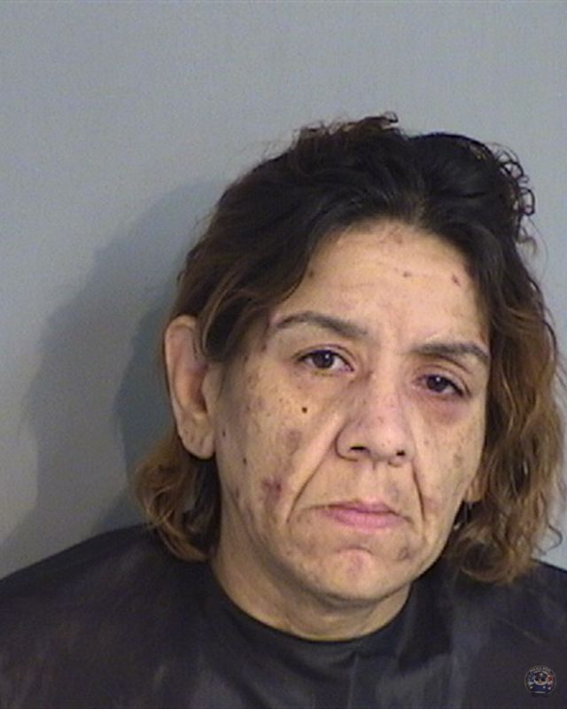 Booking photo of MELISSA ACEVEDO-HERNANDEZ