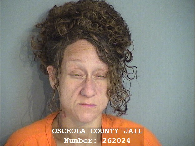 Booking photo - LAURA RAMIREZ - Osceola, Florida