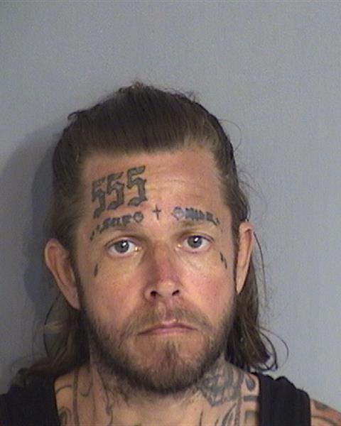 Booking photo - DAN LEON VALDEZ - Osceola, Florida